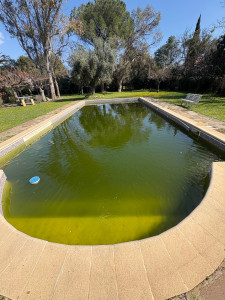 Photo de galerie - Entretien piscine