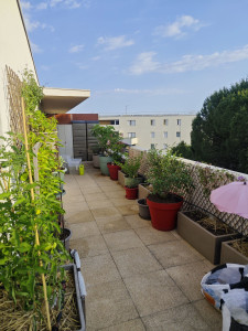 Photo de galerie - Pose irrigation automatique terrasse 
