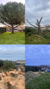 Photo de galerie - Démontage Pin