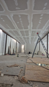 Photo de galerie - Plaquages de le plafond et le murs

