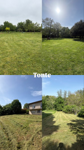 Photo de galerie - Tonte de pelouse - Débroussaillage