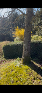 Photo de galerie - Après 