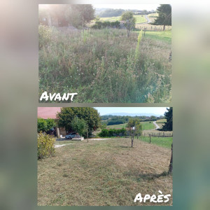 Photo de galerie - Débroussaillage