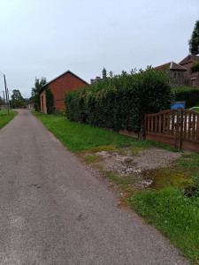 Photo de galerie - Taille de haies et d'arbustes