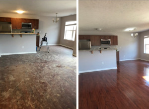 Photo de galerie - Nettoyage après un chantier