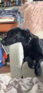 Photo de galerie - Erza ✨