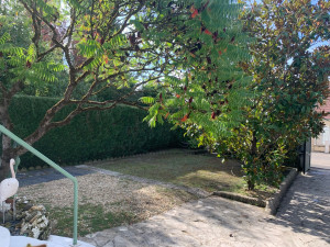 Photo de galerie - Elagage et coupe d'arbres