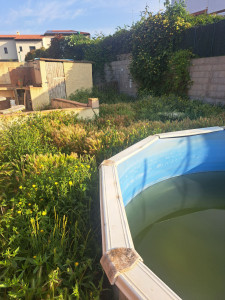 Photo de galerie - Tonte de pelouse - Débroussaillage