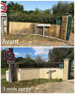 Photo de galerie - Voici une photo de l’avant et de l’après, 3 mois après l’application du traitement Dalep 2100. Le produit continue à agir, ce n’est pas encore le résultat final.