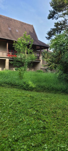 Photo de galerie - Tonte d'un jardin