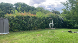 Photo de galerie - Avant