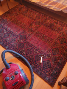 Photo de galerie - Nettoyage de vos tapis. Difficultés à vous baisser ,plier les bras... 