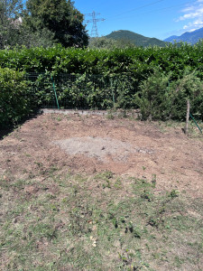 Photo de galerie - Rognage de souche