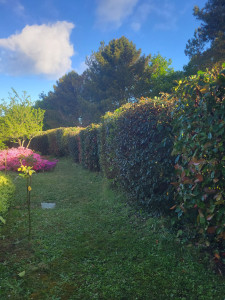 Photo de galerie - Taille