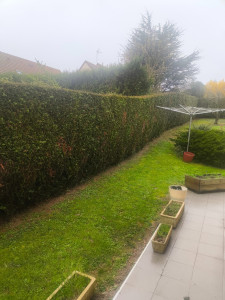 Photo de galerie - Taille haie