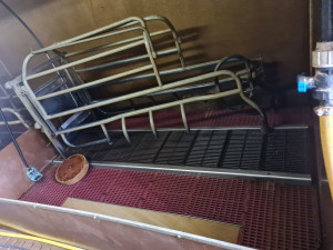 Photo de galerie - Nettoyage porcherie 