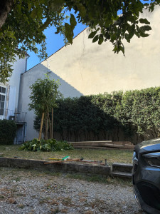Photo de galerie - Taille de haie et remise à niveau 