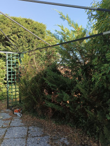 Photo de galerie - Haie jardin 