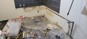 Photo de galerie - Avant salle de bain 