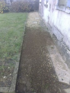 Photo de galerie - Tonte de pelouse - Débroussaillage