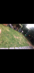 Photo de galerie - Paysagiste - Aménagement du jardin