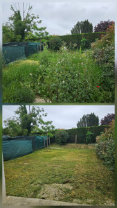 Photo de galerie - Avant / Après 