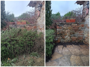 Photo de galerie - Taille de haies et d'arbustes