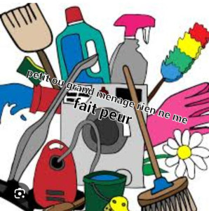 Photo de galerie - Petit ou gros ménage 