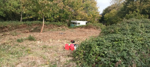 Photo de galerie - Tout à la débroussailleuse 