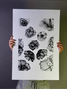 Photo de galerie - Graphisme