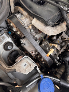 Photo de galerie - Distribution peugeot 206 