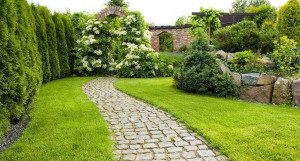 Photo de galerie - Paysagiste - Aménagement du jardin