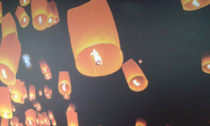 Photo de galerie - Pose papier peint 3D
