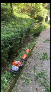 Photo de galerie - Taille 