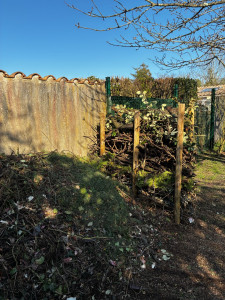 Photo de galerie - Création d’un tas de compost esthétique et encourageant pour la biodiversité