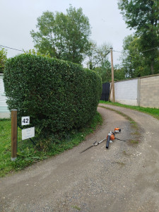 Photo de galerie - Paysagiste - Aménagement du jardin