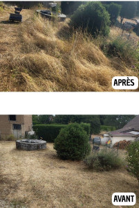 Photo de galerie - Débroussaillage 