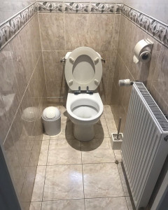 Photo de galerie - Toilette avant travaux 