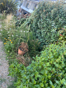 Photo de galerie - Jardinier