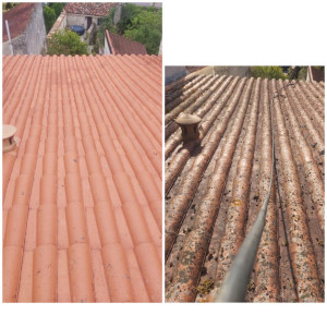 Photo de galerie - Couverture - Toiture