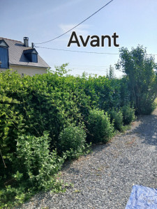 Photo de galerie - Jardinier