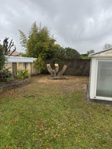 Photo de galerie - Après 