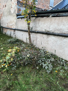 Photo de galerie - Château Renault 