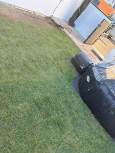 Photo de galerie - Pose de rouleaux de gazon