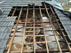 Photo de galerie - Avant réalisation des travaux 