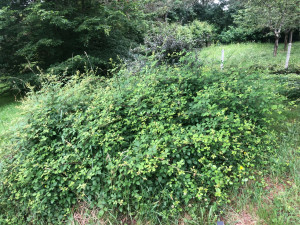 Photo de galerie - C'est volumineux 