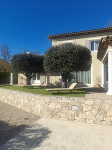 Photo de galerie - Taille d'olivier