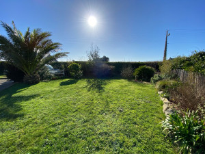 Photo de galerie - Tonte chez un particulier +taille du Phoenix canariensis (palmier des Canaries)