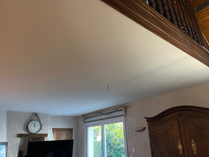 Photo de galerie - Réparation de fissure ,enduisage complet plafond ainsi que mise en peinture 