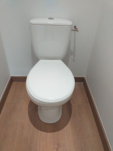 Photo de galerie - Installation d'un wc